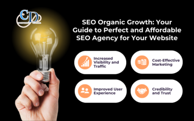 SEO Organic Growth: Your Guide to Perfect and Affordable SEO Agency for Your Website
